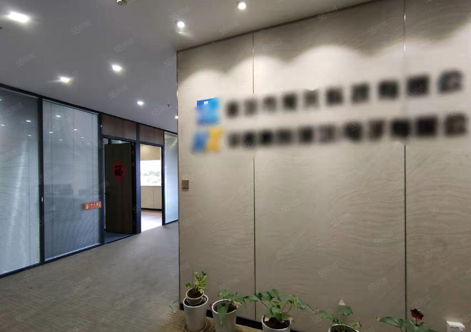 龙华大浪商业中心附近160平精装写字楼厂房出租21格局