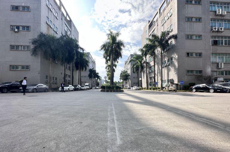 观澜原房东200平方至5000平方精装修厂房出租一楼仓库出租