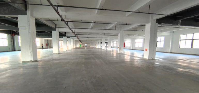 2000平起龙华大浪独门独院原房东厂房10000平出租交通方