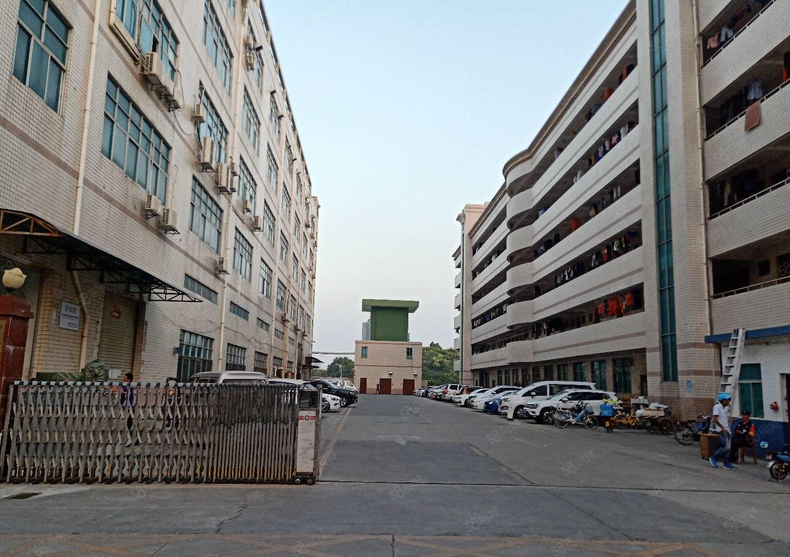 观澜新出1000平至5000平一二楼厂房仓库出租独院大小分租