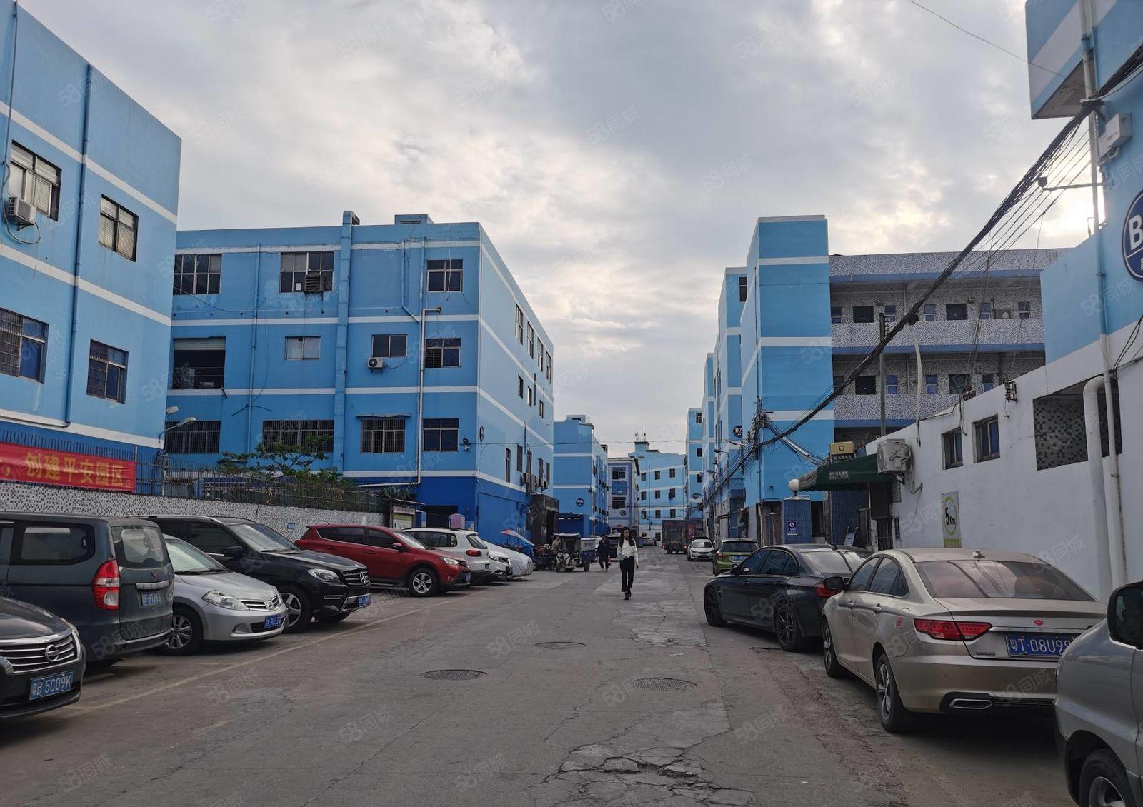 观澜松元大布头独院厂房出租 厂房加宿舍面积9000平米