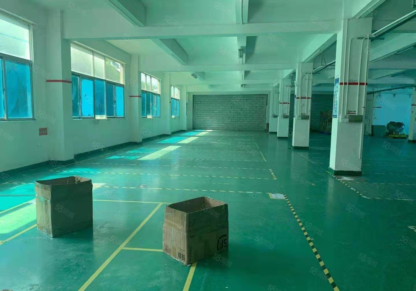 龙华大浪原房东楼上带红本1200平厂房出租，可分租