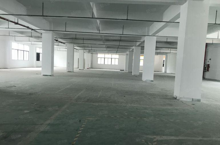 龙华元芬阳台山双地铁口新出480平起低至20块厂房出租，可分