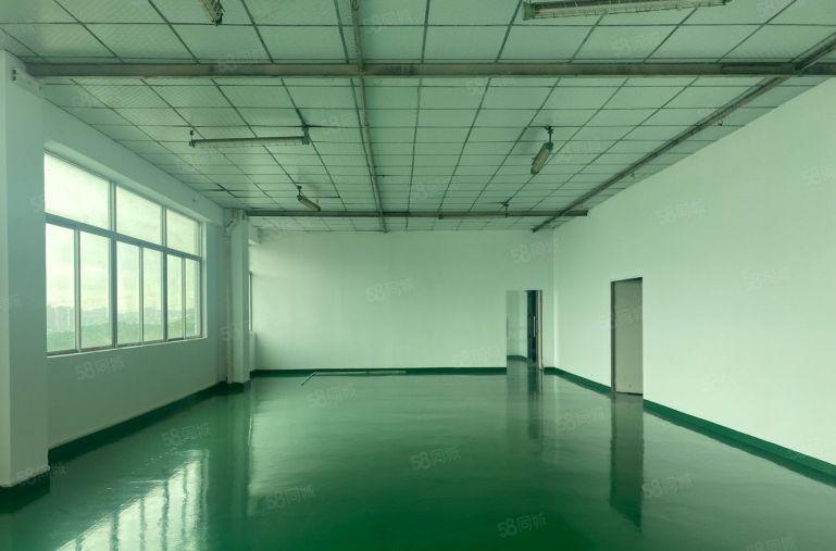 龙华大浪河背，小面积厂房120平至400平，租金24元