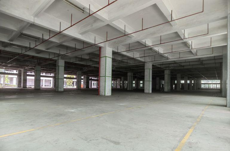 龙华大浪原房东红本独院物流园40000平厂房出租1000起分