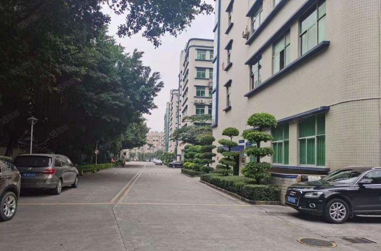 超长免租 龙华大浪原房东工业园楼上1500平厂房出租 可分租