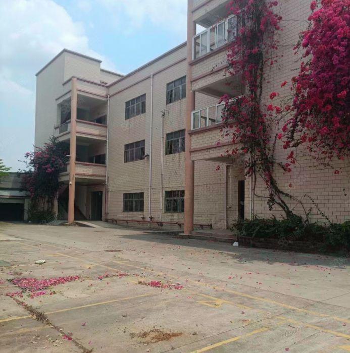 观澜机荷高速红本独院厂房6600平方招租