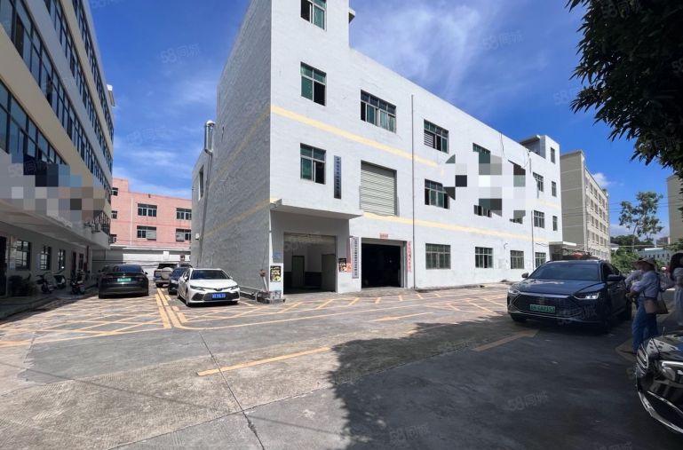 观澜独院厂房出租6000平电商仓库注塑设备冷库冷链大小可分租