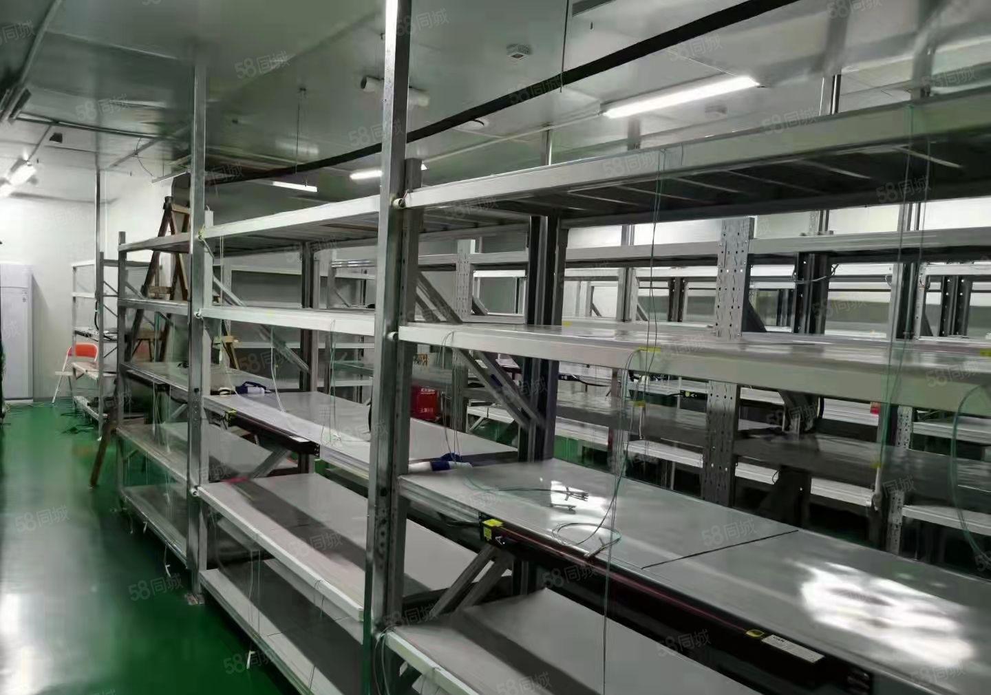 带装修800平米，无转让费出租