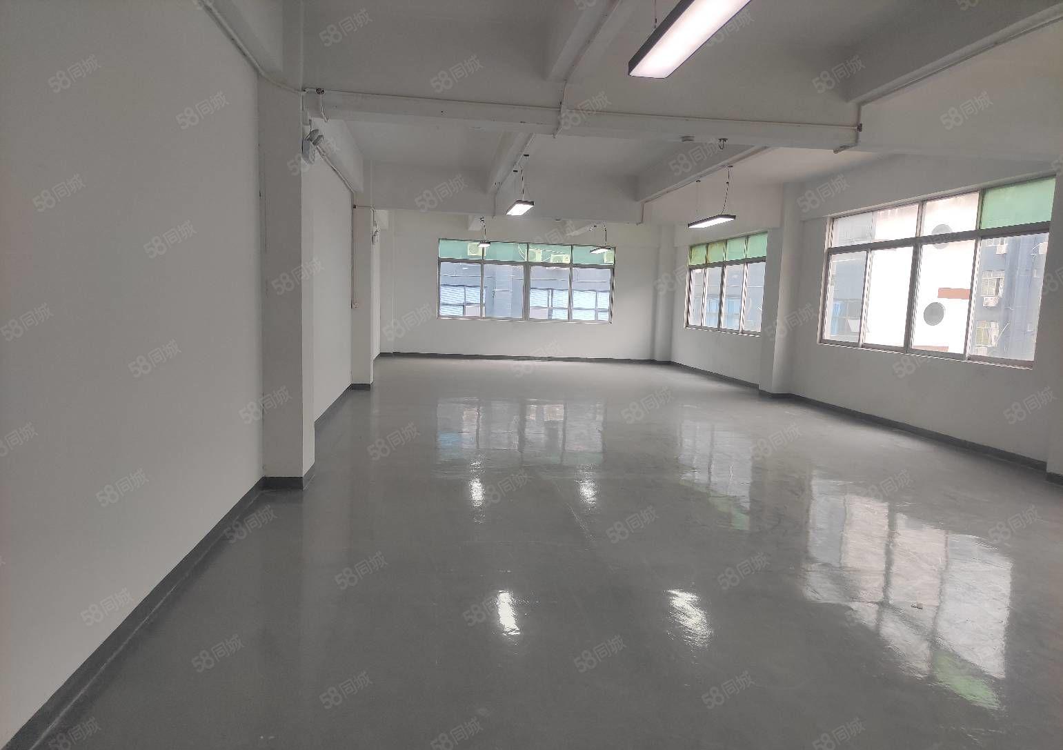 龙华油松双面采光精装厂房300平米出租