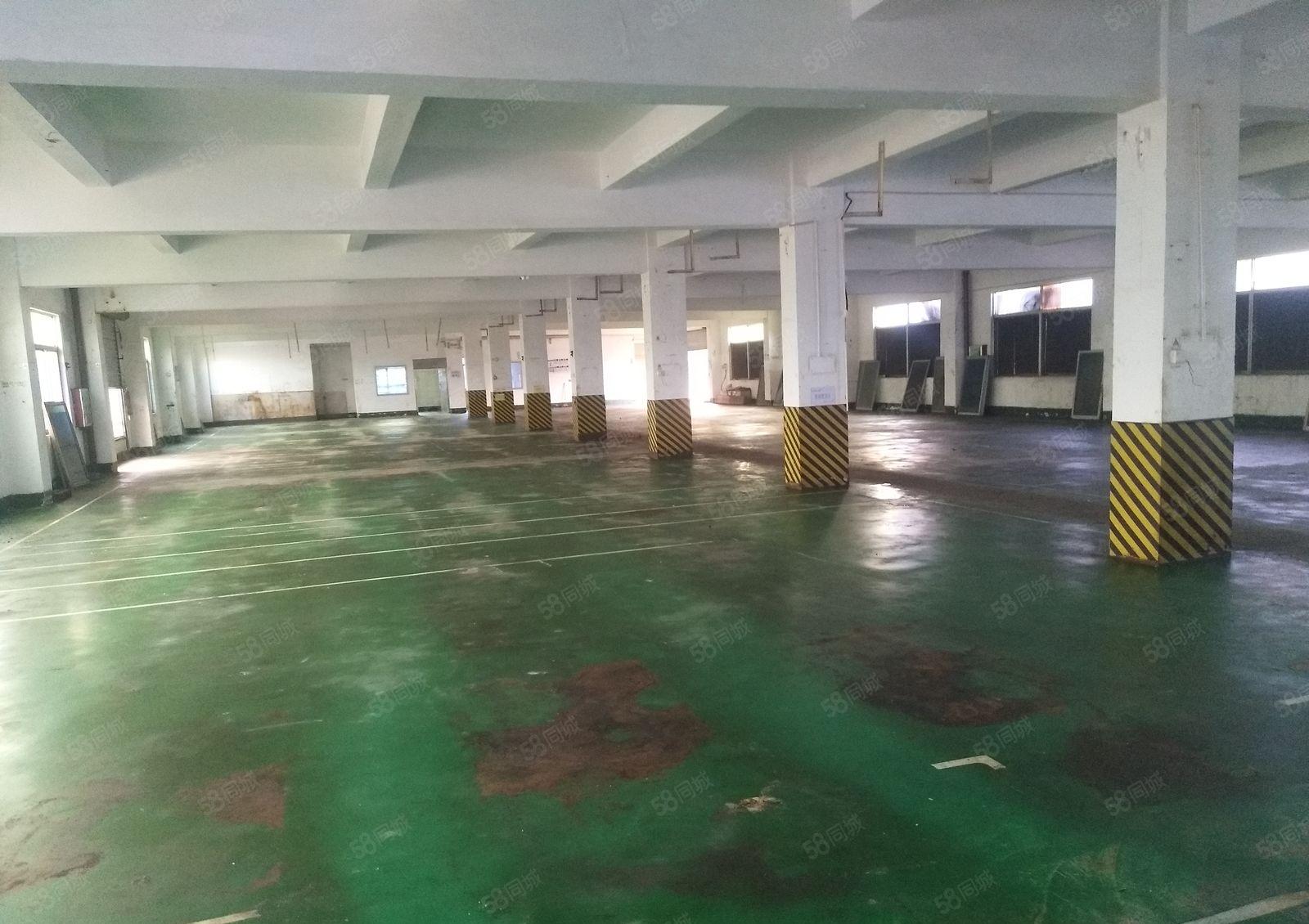 原房东，带现成办公室