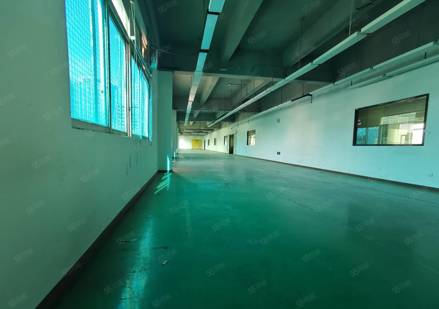 布吉上雪科技园新出2000平无尘车间带精装修出租水电齐全一楼