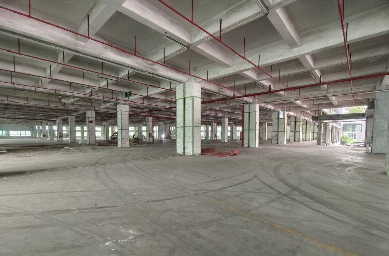 龙华独院厂房30000平方仓库大小面积出租1000平起分