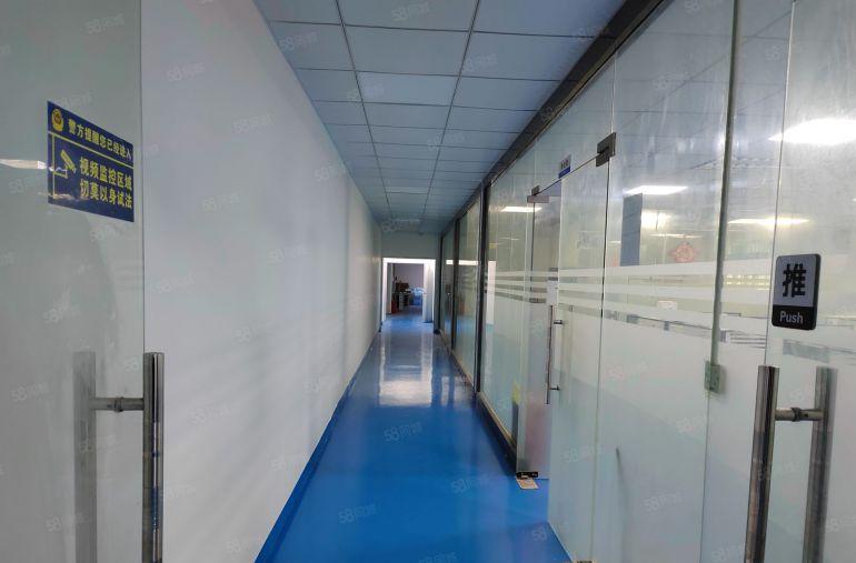 龙华天虹商场附近金典小独栋2250平米招租