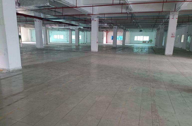 龙华大浪原房东红本独院9600平厂房出租，可以分租200平。