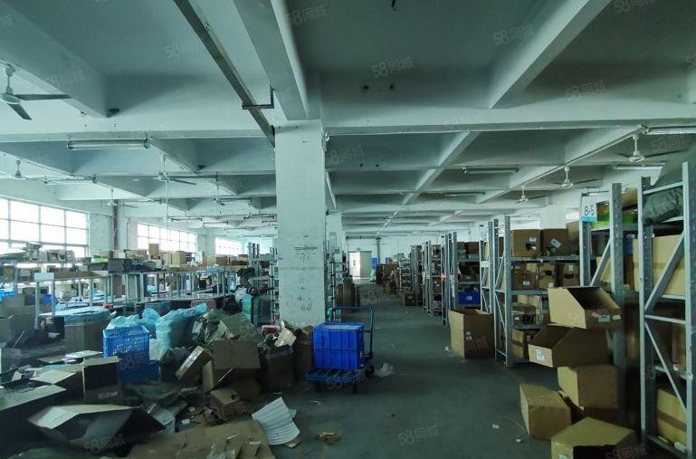 年前免租！观澜大道新出一楼1500平二楼2000平特价出租