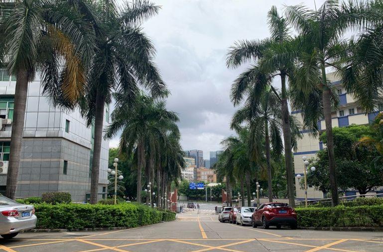 观澜地铁口旁原房东实际面积出租厂房一楼800平起带红本可大车