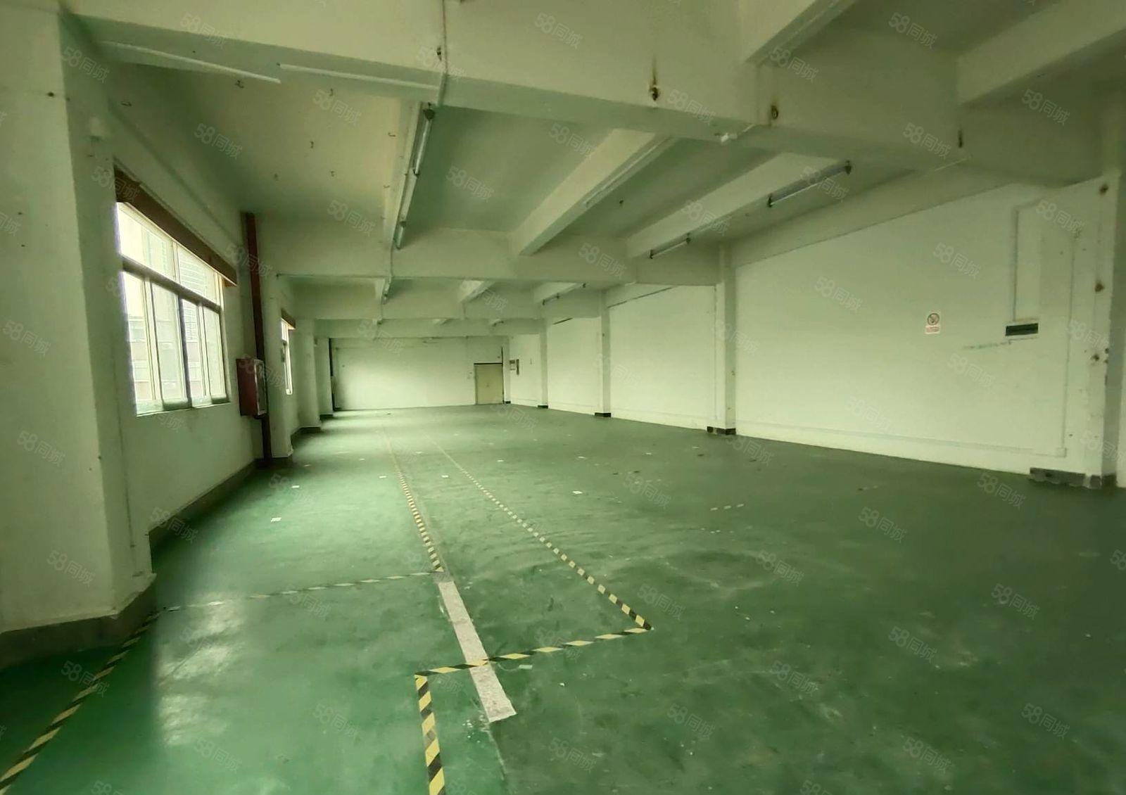 龙华油松天汇大厦旁楼上600平厂房出租，水电齐全