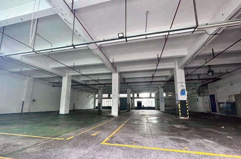 龙华大型工业园一楼厂房1500平层高6米超大空地厂房仓库出租