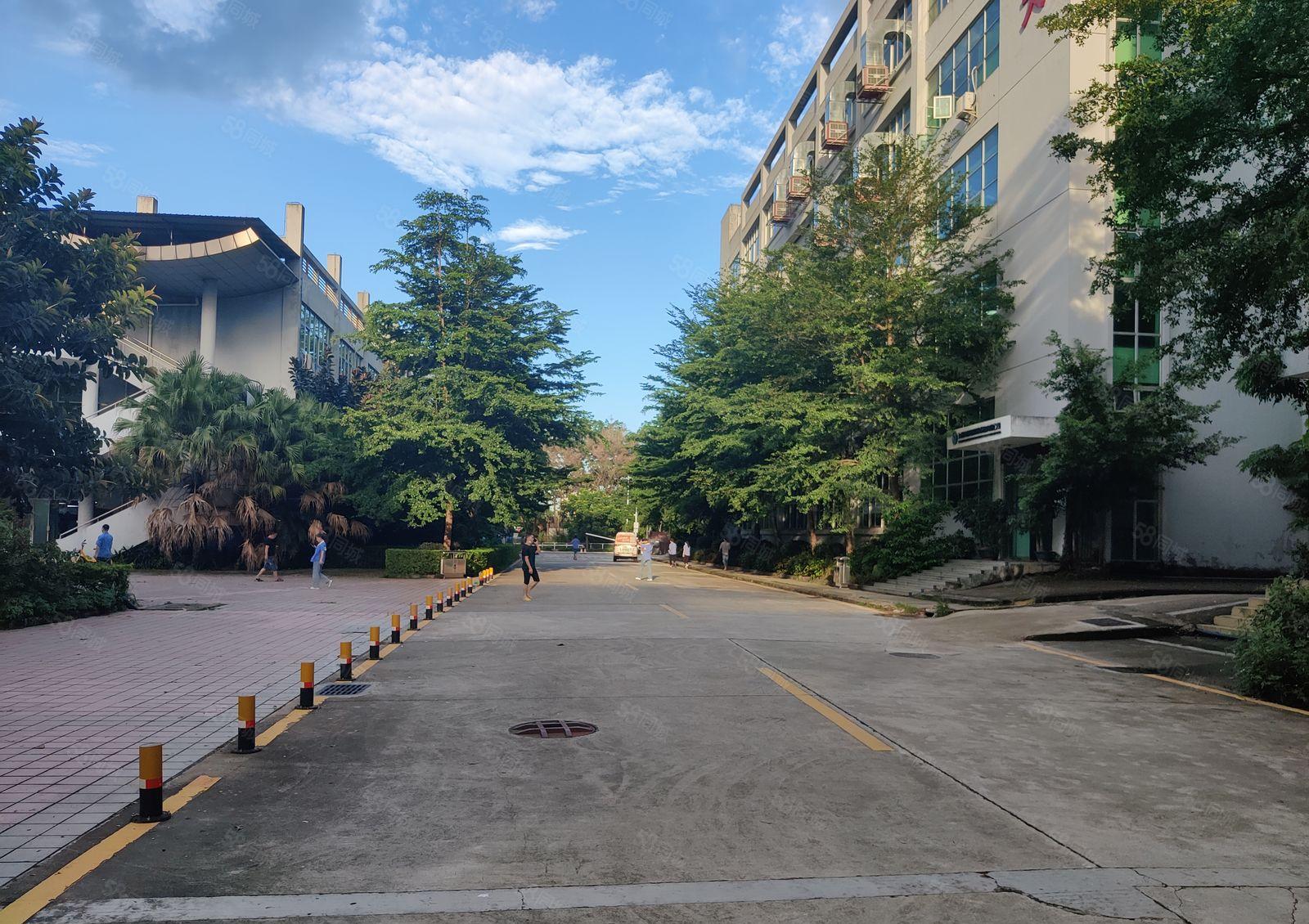 龙华油松原房东一楼1000平厂房出租，500可分租 可办环评