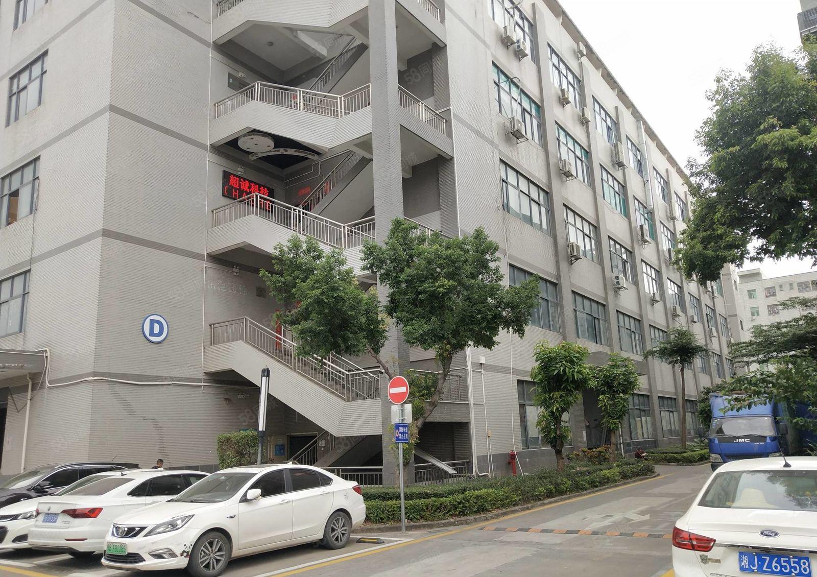 红本观澜茜坑地铁站原房东1000平独门独院仓库厂房出租可分租