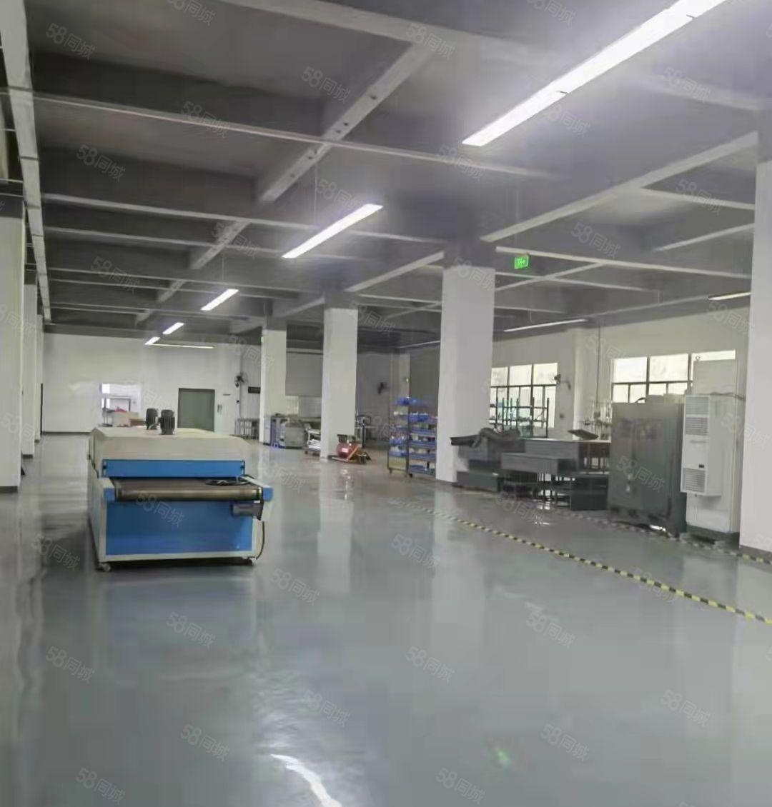 一楼厂房1050平米，层高6米，可分租，合同期长