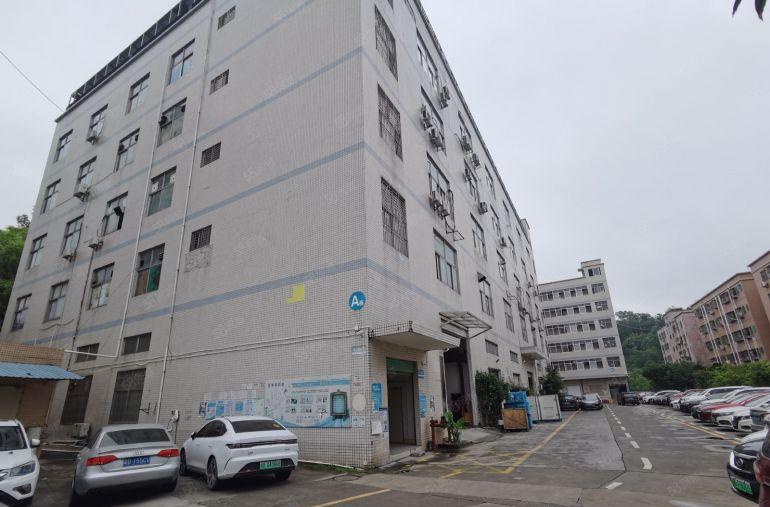 观澜樟坑径下围20元厂房出租带装修水电齐全，有轨电车站附近