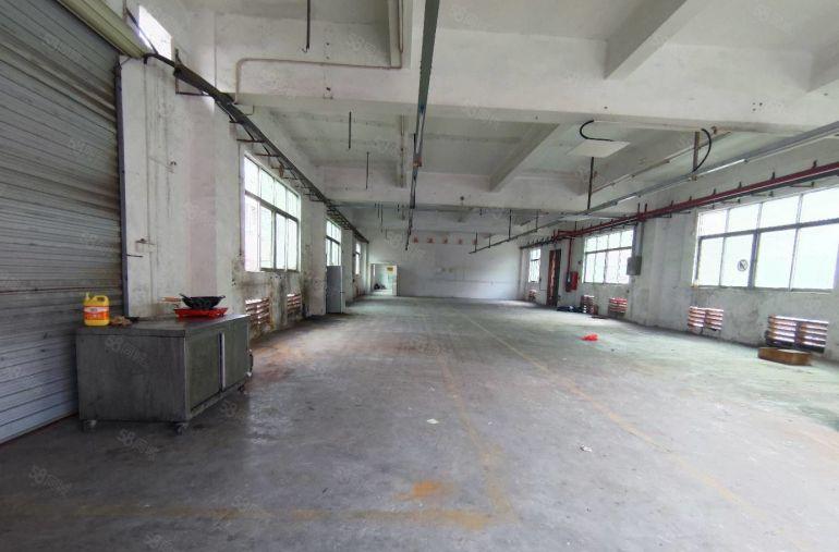 观澜标准一楼厂房出租560平方 空地大，面积实