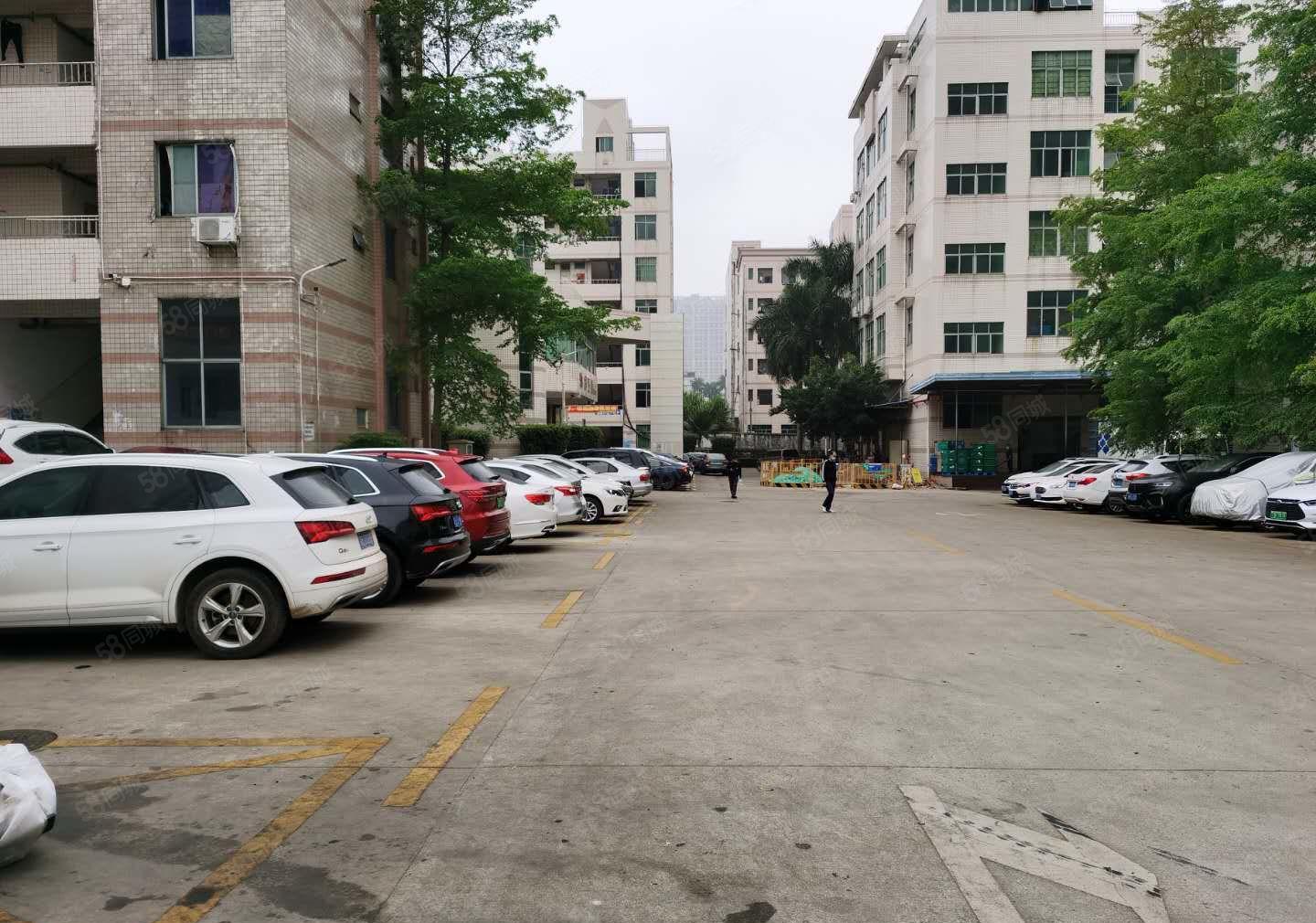 观澜中泰科技园区厂房6000平分租500平起23元起使用率高