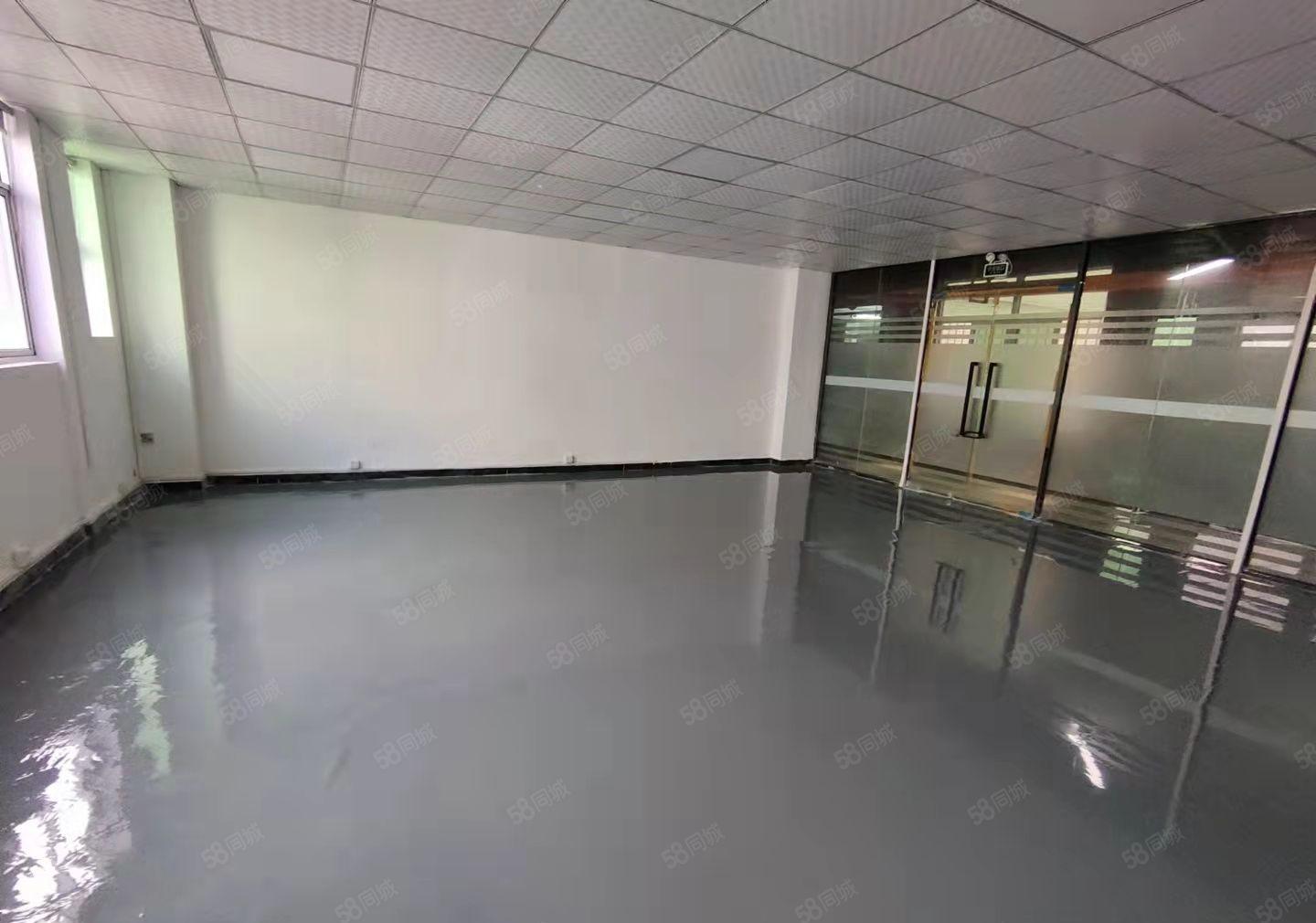 龙华大浪新百丽附近新出360平精装办公厂房出租