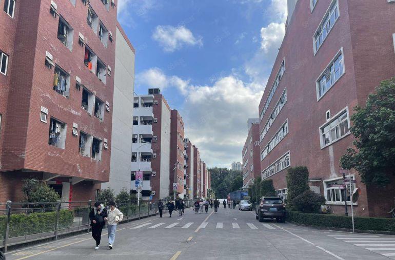 1000平起租龙华新出2万平方一二楼厂房仓库出租大小面积分租