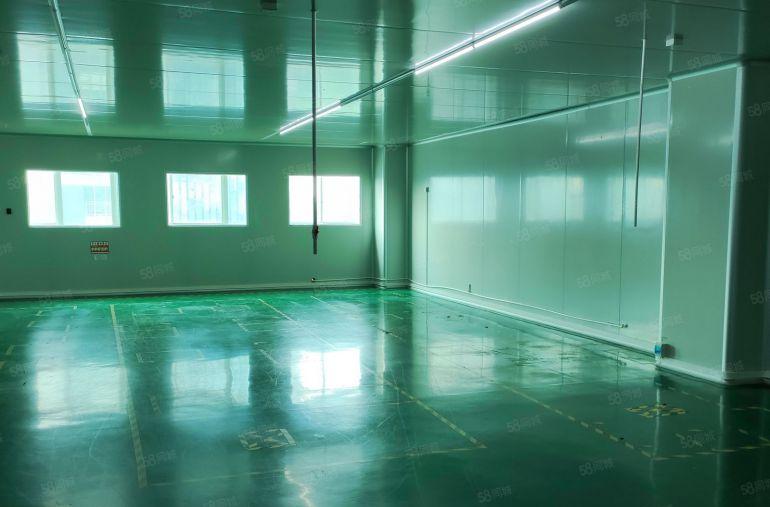 龙华大浪新出无尘车间540厂房业主直租，有现成水电