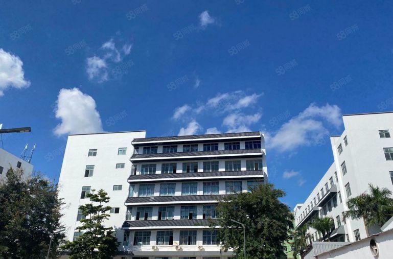 龙华工业厂房原房东1250平现成装修大小可分租红本厂房仓库