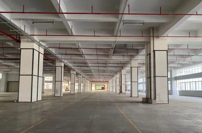租金19元一平 5吨大货梯 1000平至5千平 龙华电商仓库