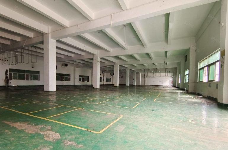 村委直租无公摊！观澜6000平独院厂房仓库出租，300起分