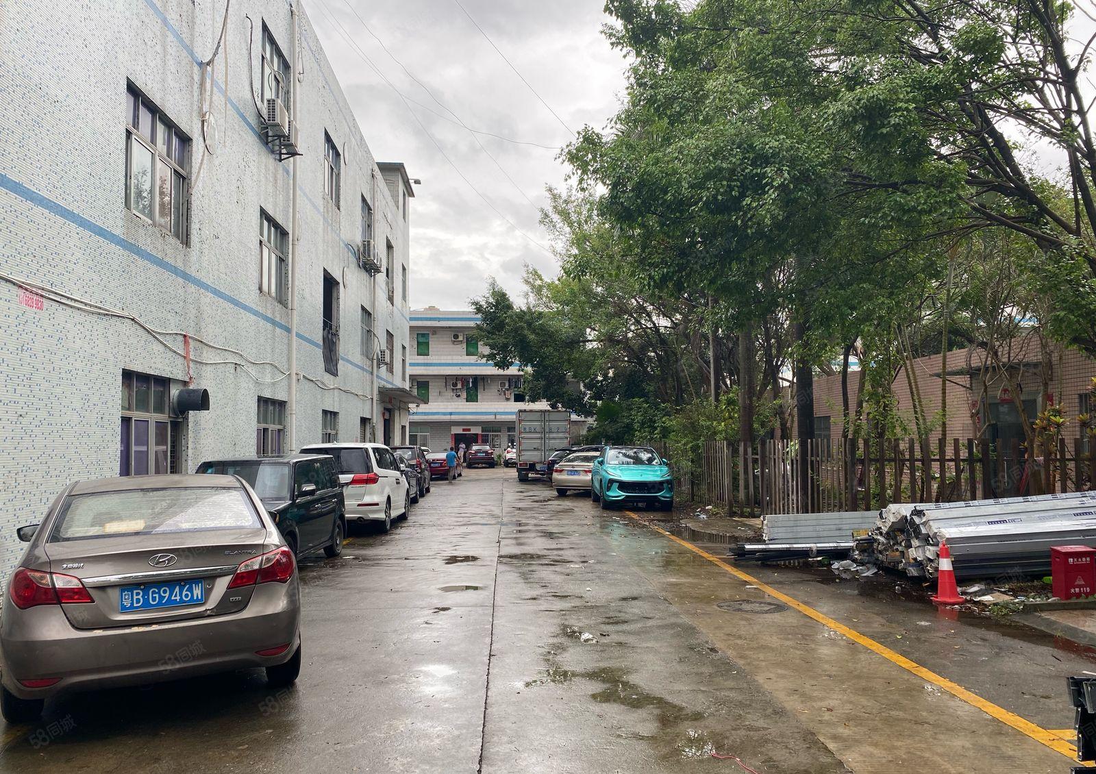 观澜靠近平湖交界处新出经典小独院1楼1200平适合各行各业。