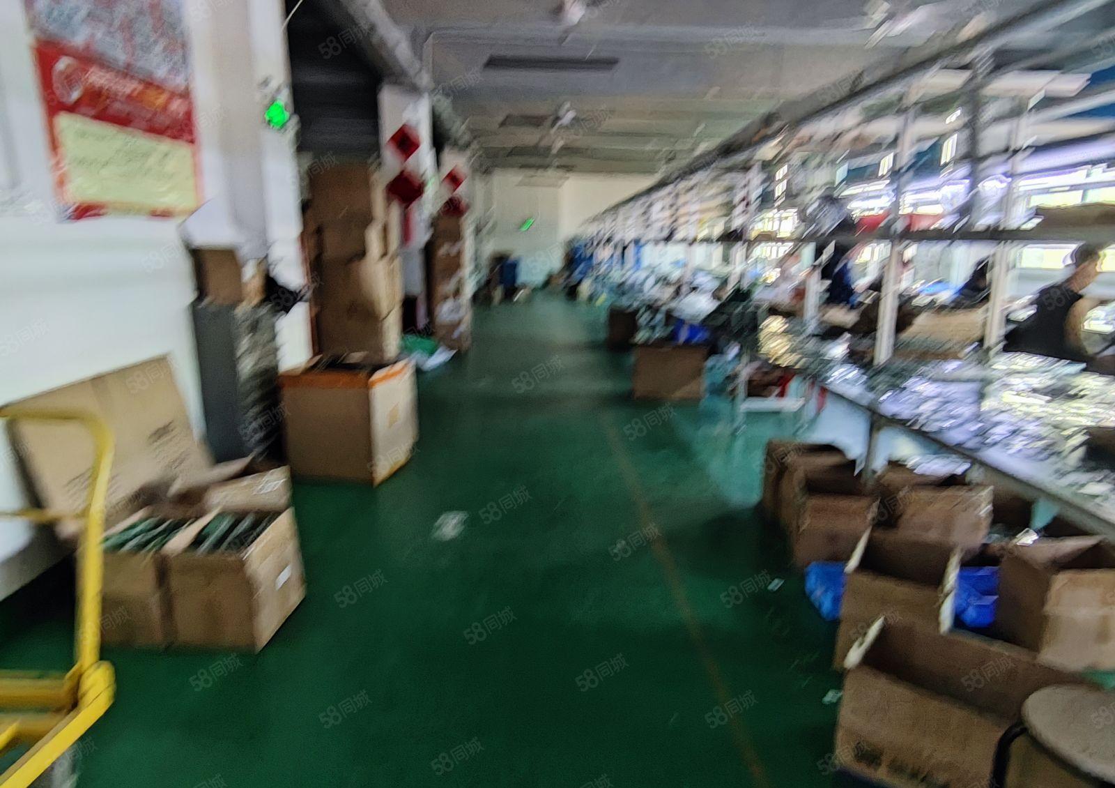 观澜有轨电车旁厂房出租600平方 带现成装修不要装让费