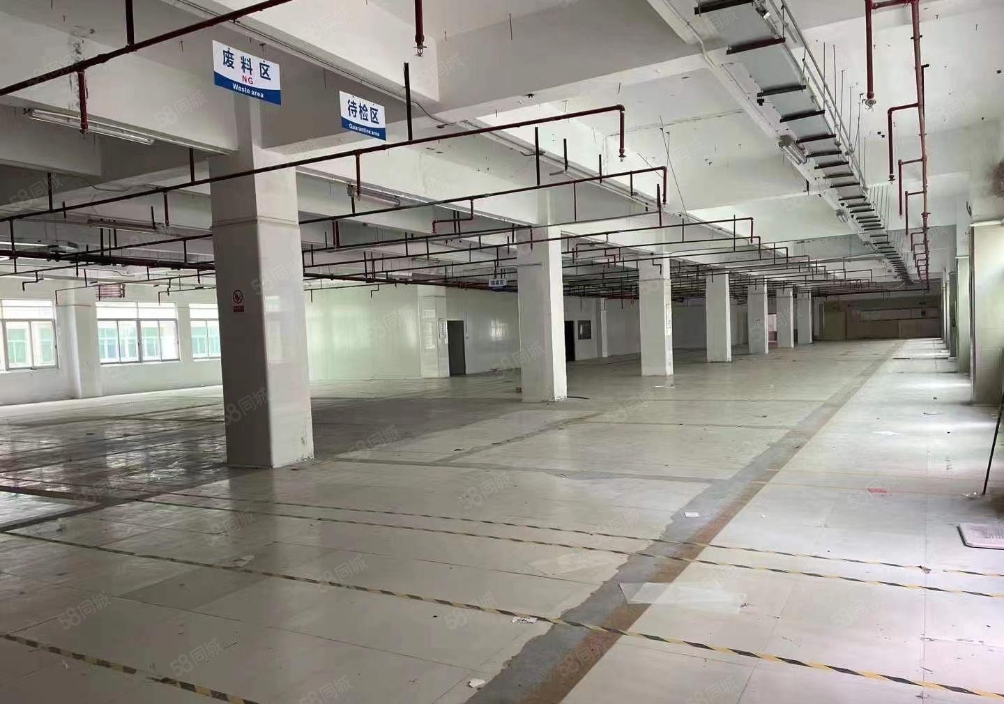 大浪园区厂房，整层2680平，标准货梯，价格便宜，易招工