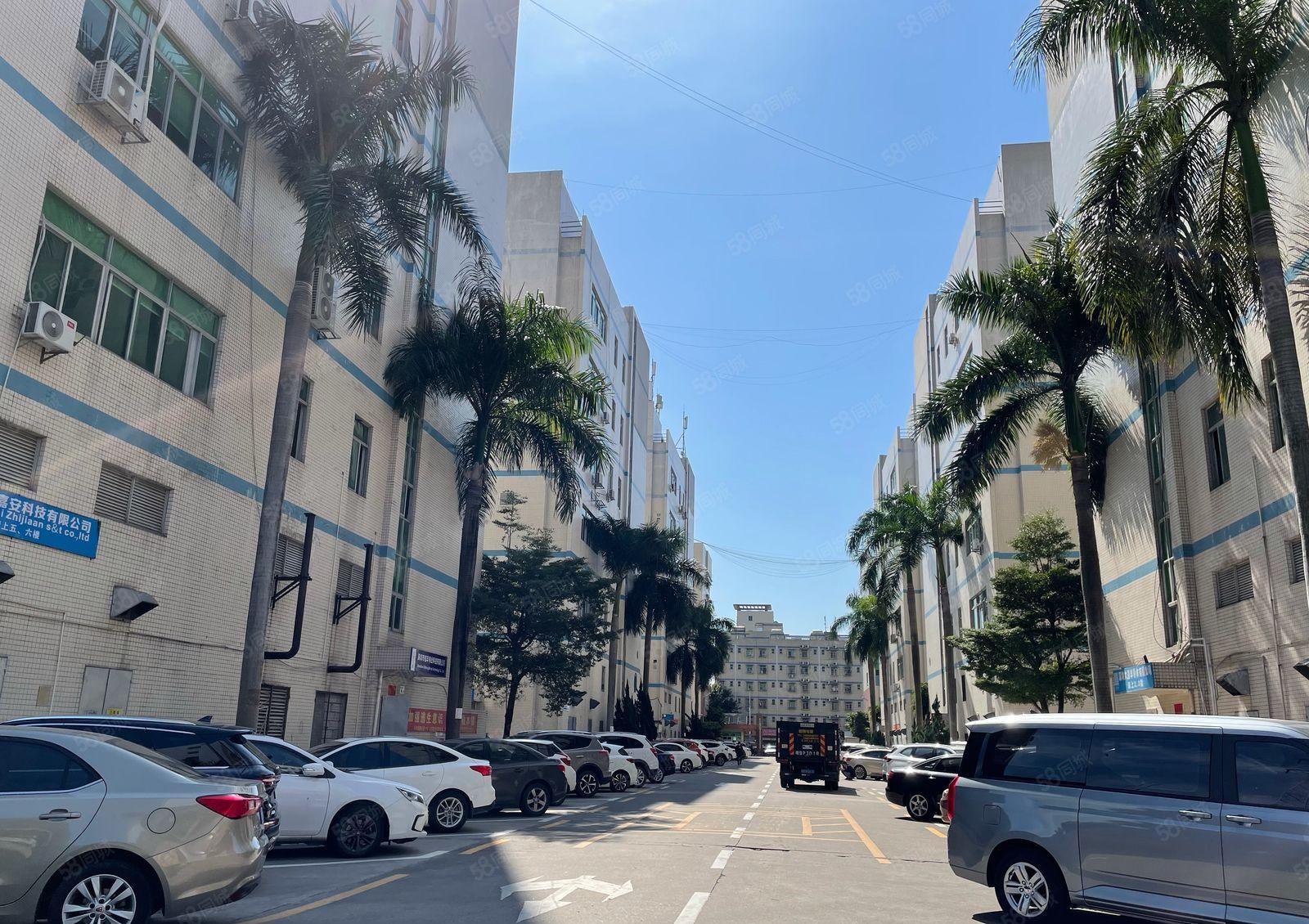 龙华大浪华荣路鹏腾达工业区新出600平厂房出租精装修楼上仓库