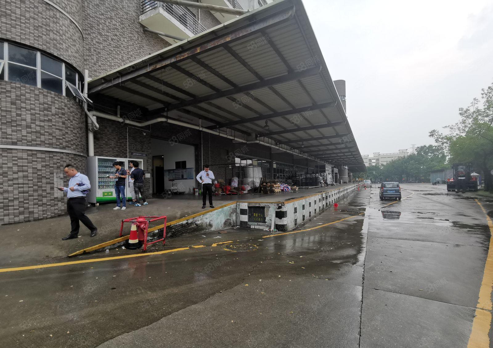 龙华清湖宝能附近工业园3000平原房东带精装修办公室厂房出租