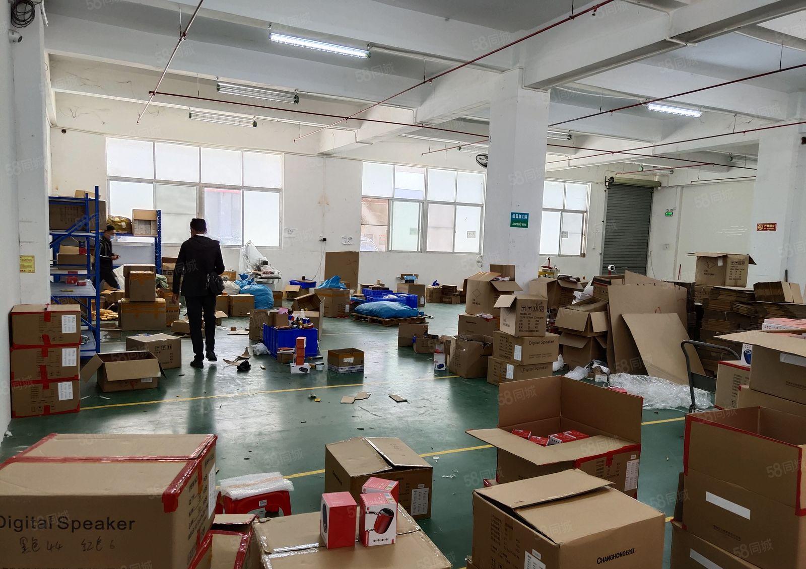 大浪新园区新出一楼475平方标准厂房出租水电齐全园区环境好