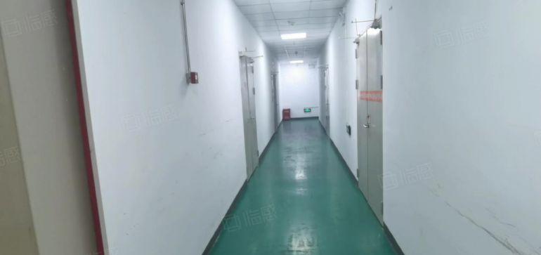 龙华大浪南路附近4楼380平三加一格局，精装修