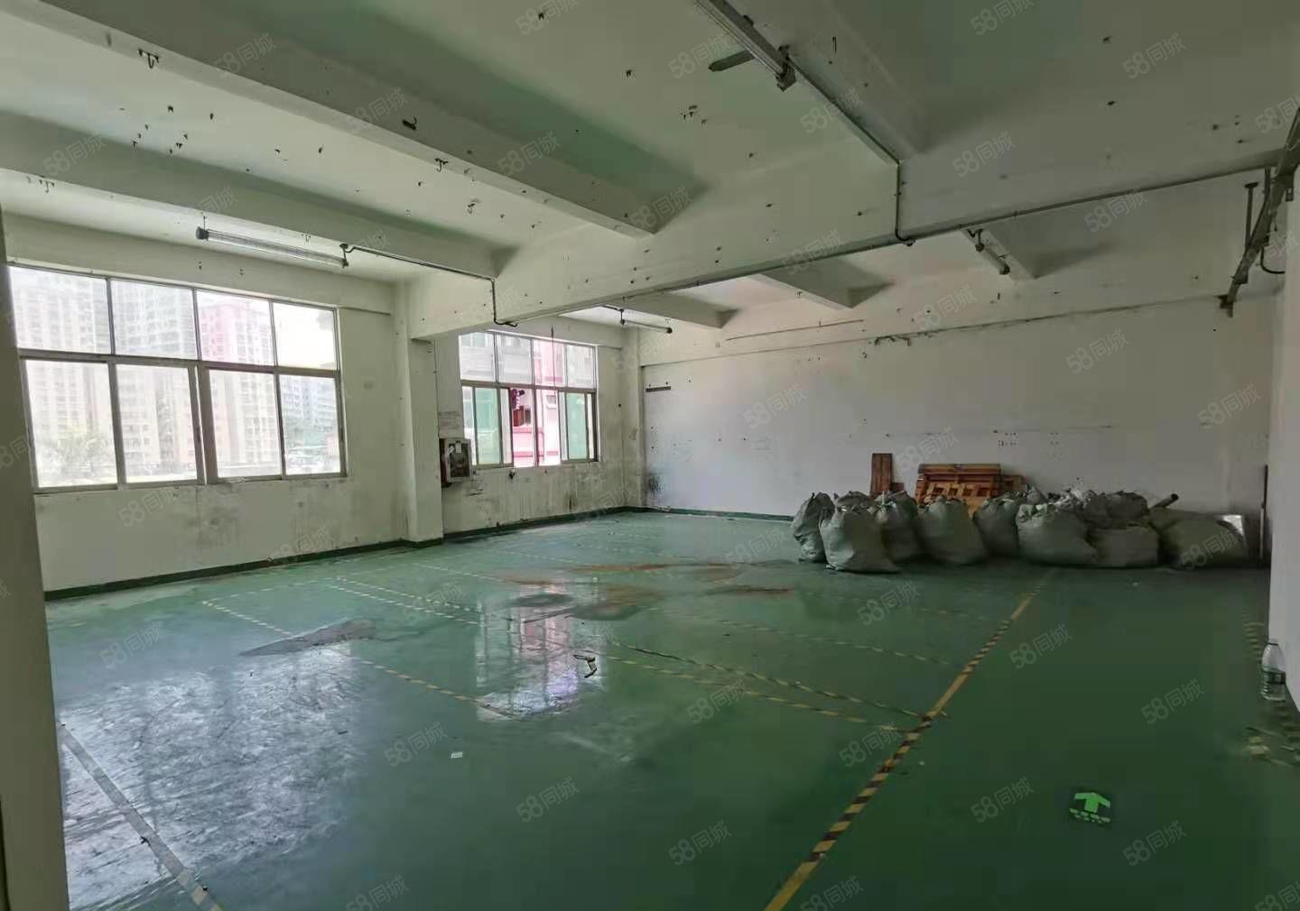 大浪河背工业园，厂房680平，租金便宜，行业不限，停车方便