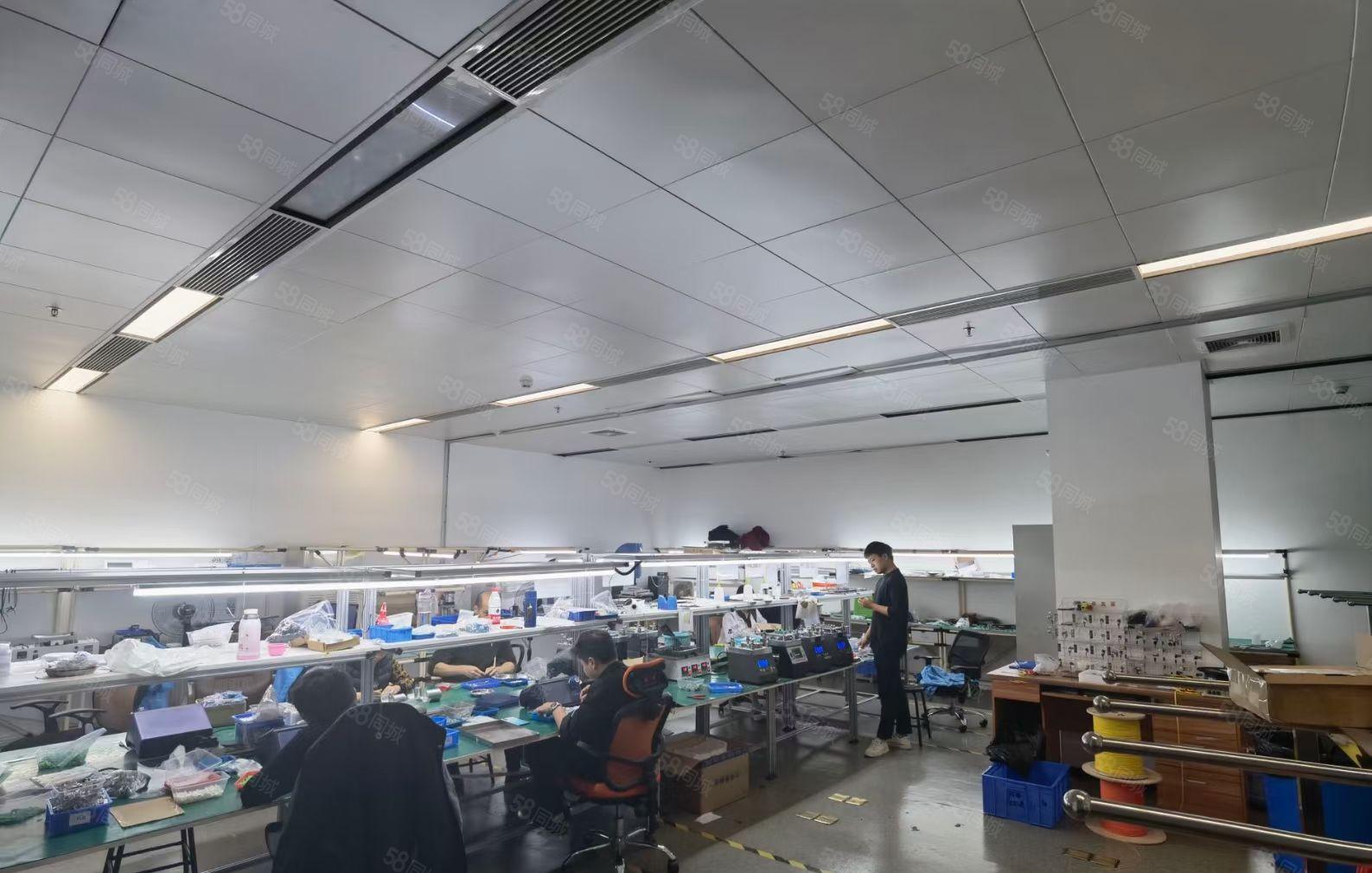 大型科技园600平米带装修厂房出租