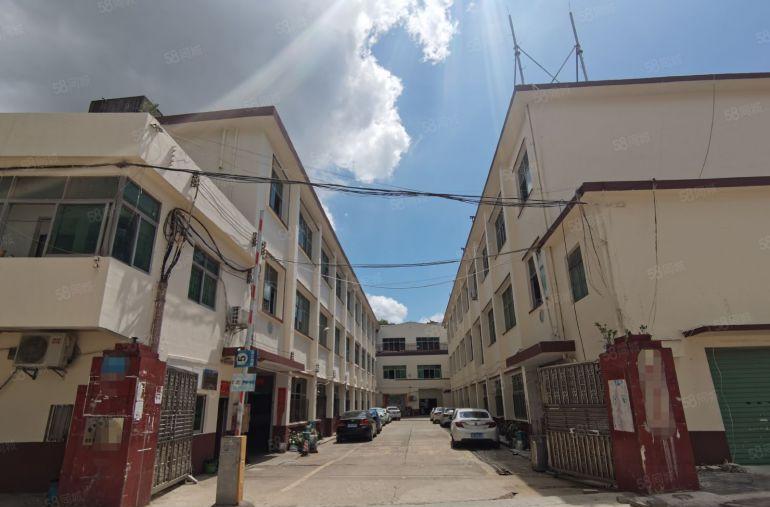 观澜地铁口50米开发商230平一楼标准厂房低价出租