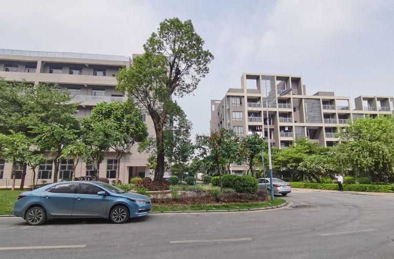 23元起租龙华观澜华朗嘉工业园区19600平厂房出租大小可分