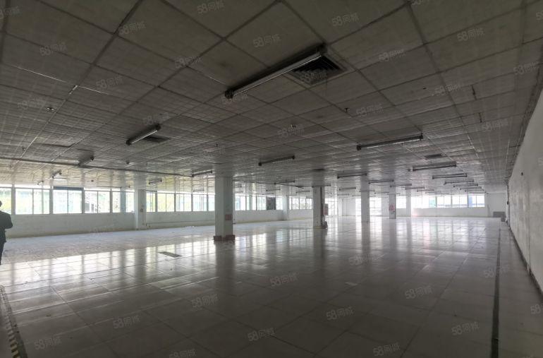 500平21元起大型工业园一楼物流仓库厂房出租空地大可进挂车