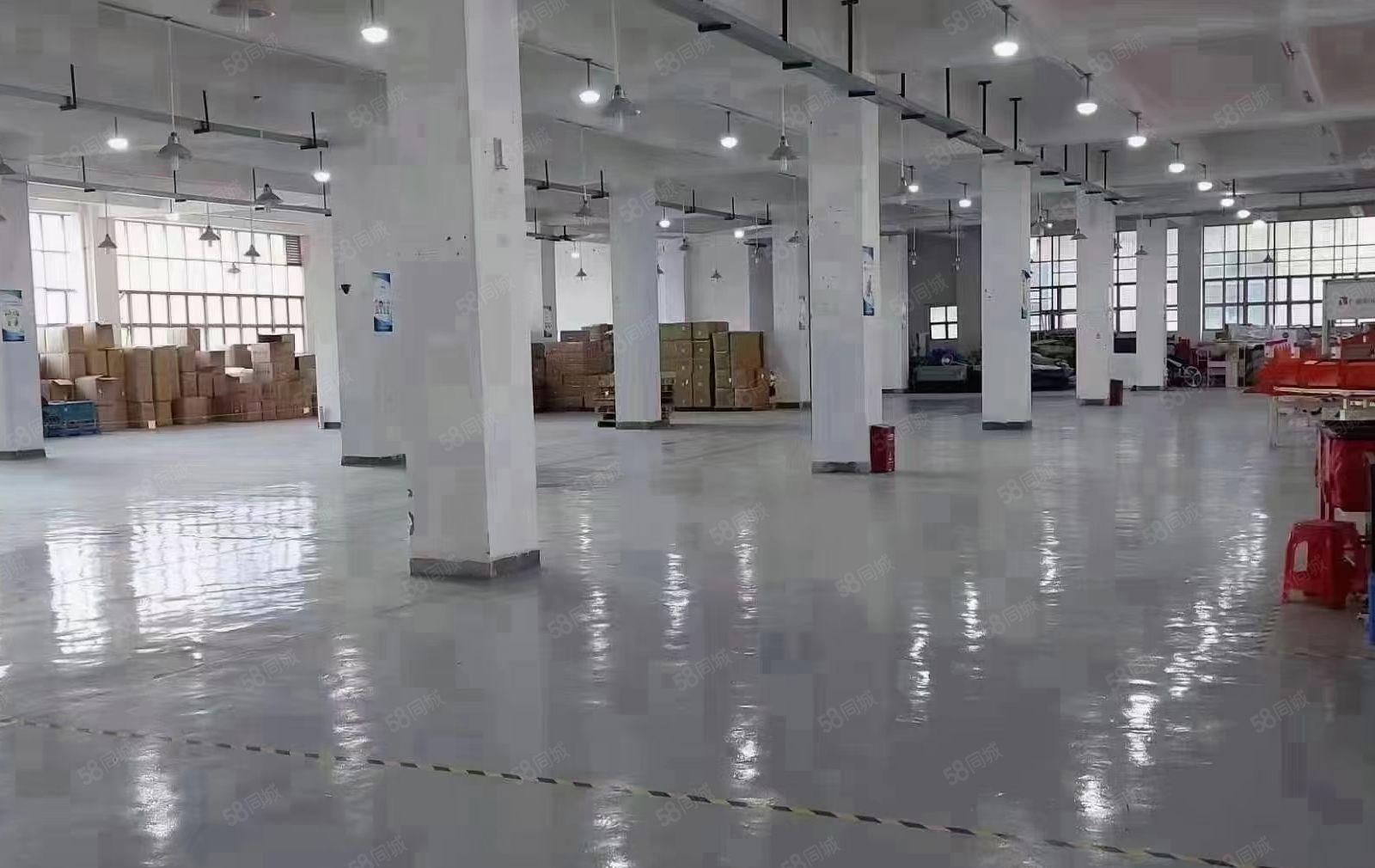 大浪商业中心1楼，整层4000平厂房，空地超大出租