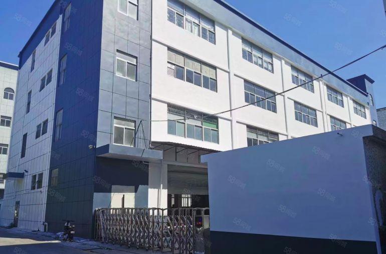 龙华大浪原房东一楼1500招租可分租