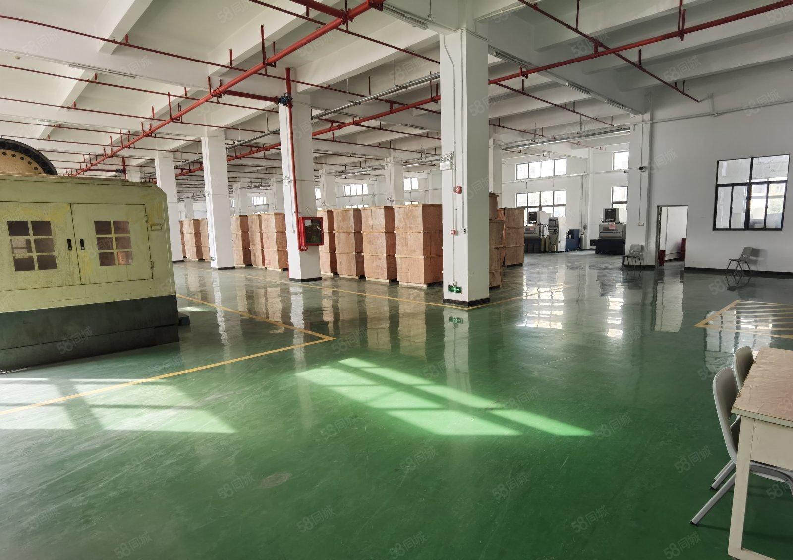 原房东红本龙华观澜一二楼1300平带喷淋精装修厂房出租，可分